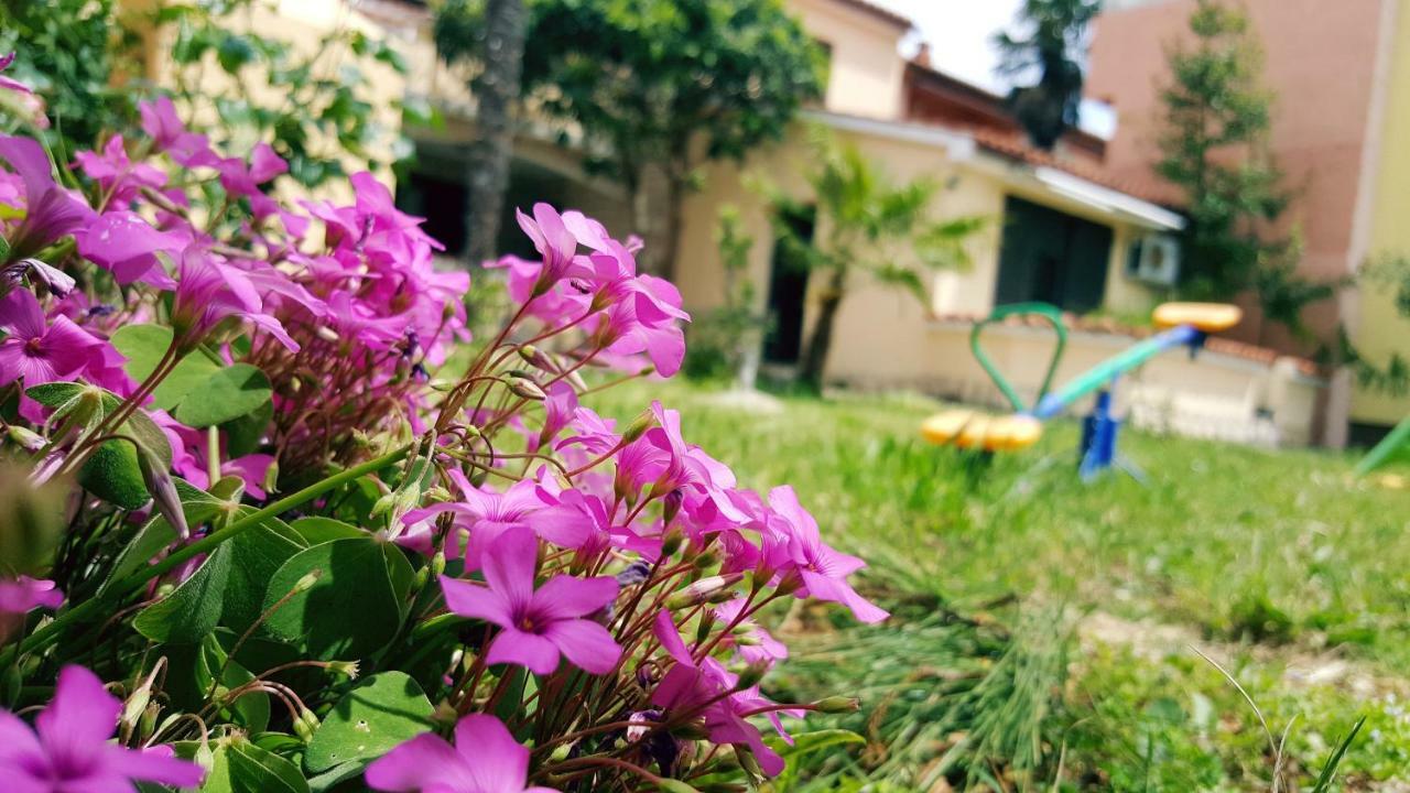 Apartmani Koin Medulin Dış mekan fotoğraf