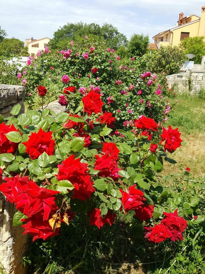 Apartmani Koin Medulin Dış mekan fotoğraf
